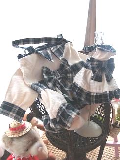 フェレット洋服・プレゼント４