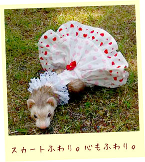 フェレット服・ピンクと赤ハート４