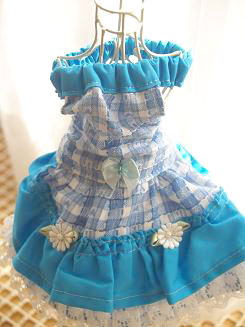 フェレット洋服・カントリーブルーレース・小さなハート３