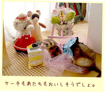 フェレットの洋服・色あわせ犬・フェレット１
