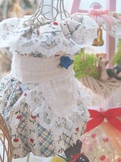 フェレットの服・チューリップエプロン・濃い青１