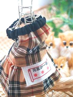 フェレット洋服・文字入りドレス・茶色・元気が一番２