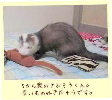 いたちもちゃ