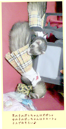 フェレットの服・制服・茶色チェックのズボン・フェレット