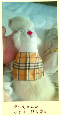 フェレットの洋服・茶色のプリーツスカート・フェレット３