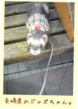 フェレットの洋服・茶色のプリーツスカート・フェレット４