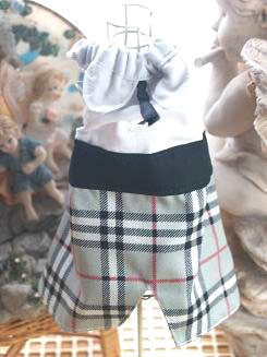 フェレットの服・制服・グレーチェックのズボン２