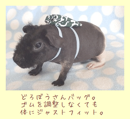 フェレット洋服・どろぼうさんベスト・スキニーモルモット