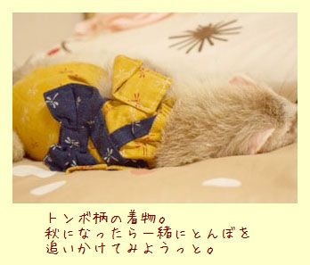 フェレット着物・とんぼ茶色・マネキンさん