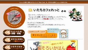 �������J�t�F�����