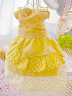 フェレットの洋服・服・お姫様・ふりふり水玉・黄色１